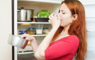 remover bad smell from fridge or freezer